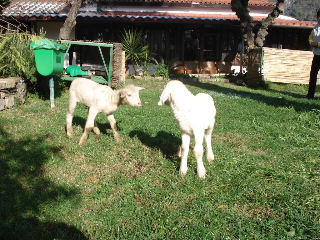 Agriturismo La Vecchia Dolceacqua 빌라 외부 사진
